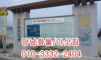 양남용달 양북 감포 제주도 울릉도 양포 장기 불국사 입실. 양남용달 양북 감포 제주도 울릉도 양포 장기 불국사 입실.