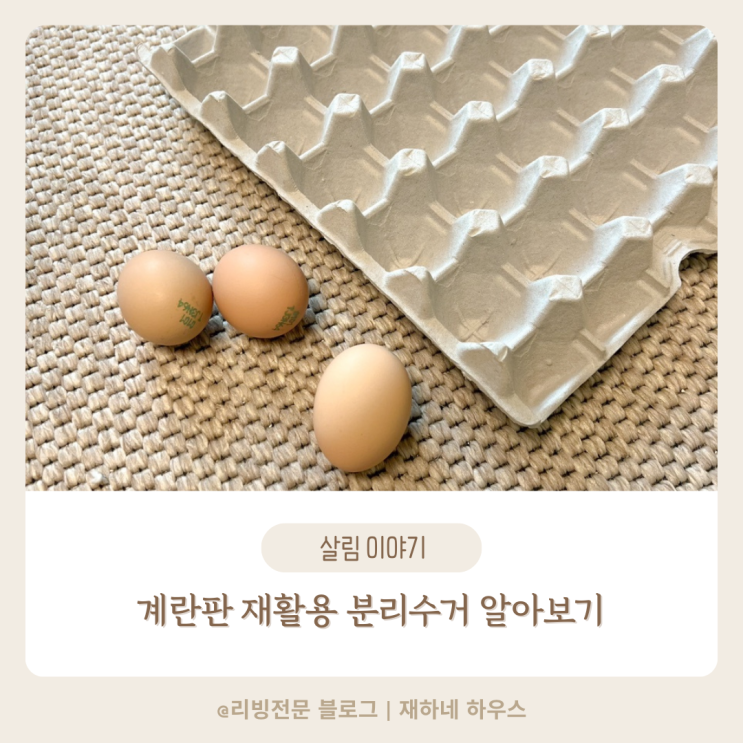  계란판 분리수거 방법과 버리기 전 재활용 알아보기