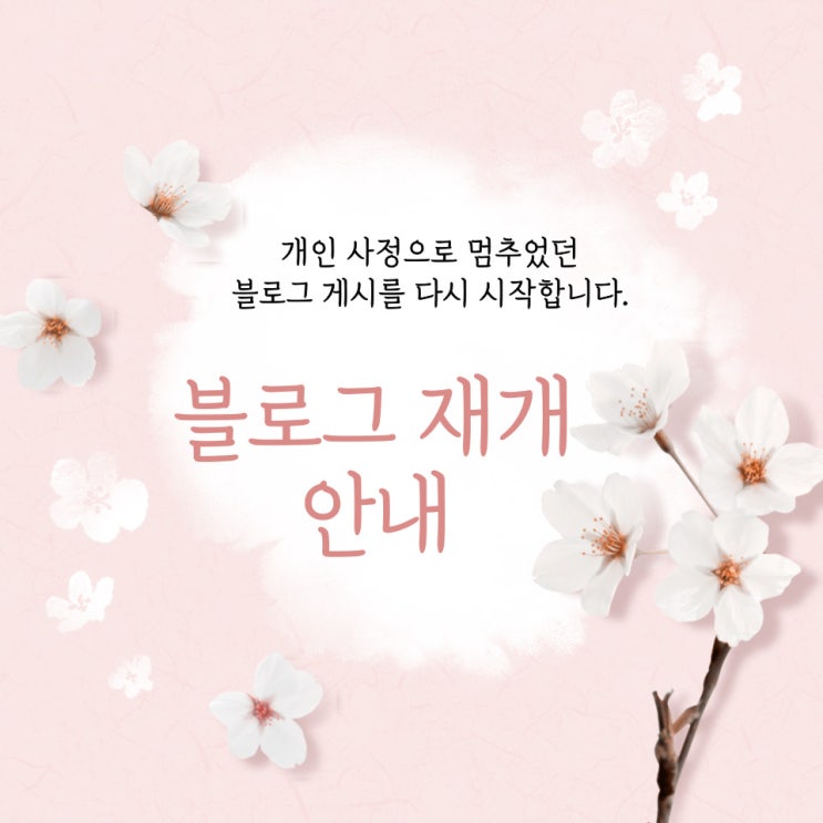  블로그 활동 재시작 알림