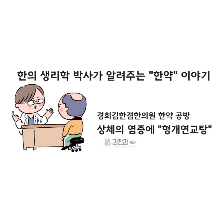  상기도 감염의 모든 것, 보험한약 형개연교탕