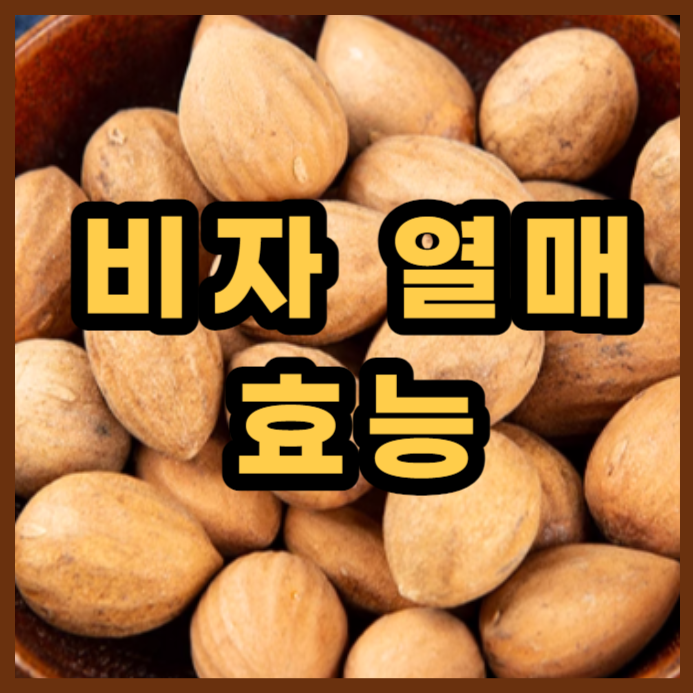  비자나무 열매 씨의 한의학적 효능