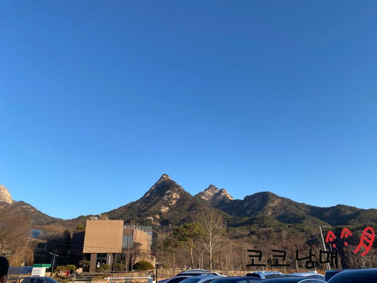  [서울 은평] 스타벅스 더북한산점 / 주차, 산뷰를 보려는 엄청난 노력, 한정 메뉴