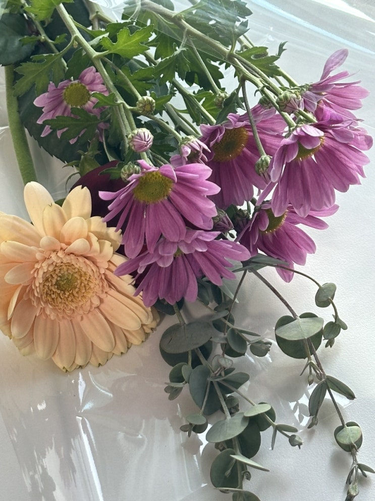  블로그 시작한 지 벌써 한 달