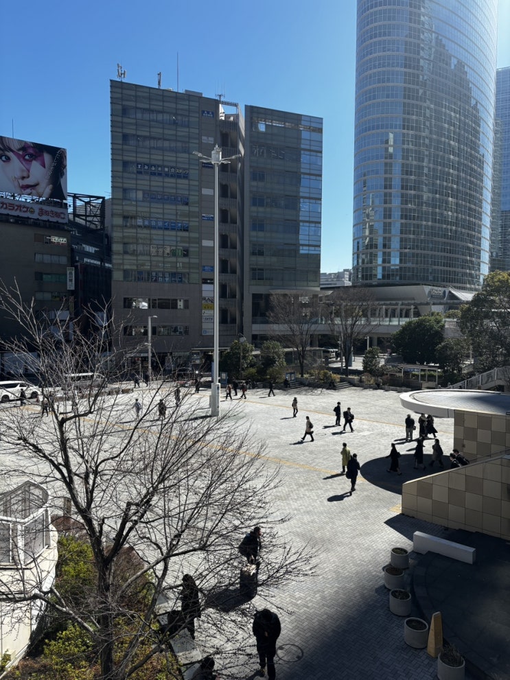  일본생활 93주차 - 일본 꽃샘추위 / 1일 요코하마 관광 가이드 전직