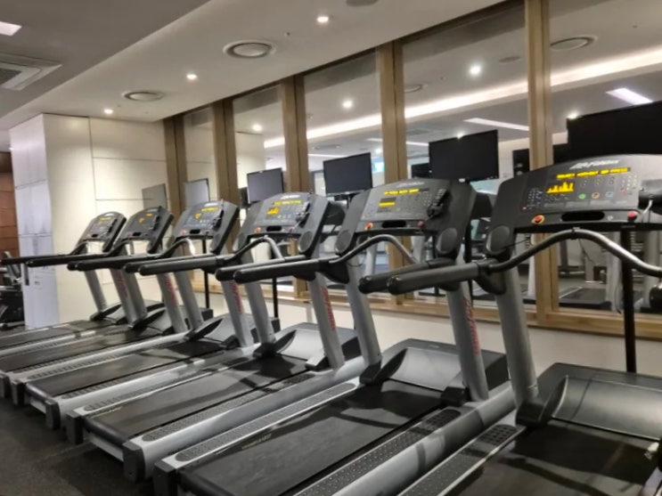  노보텔 앰배서더 수원 사우나 헬스장 사용 후기 (내돈내산)