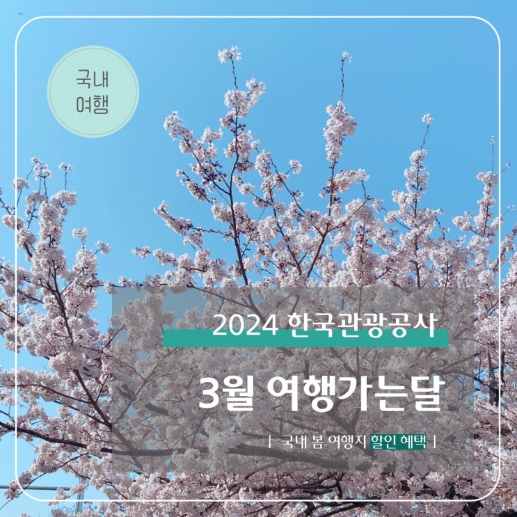  3월 여행가는달 I 국내 봄 여행지 교통 항공 숙박 할인혜택 총정리