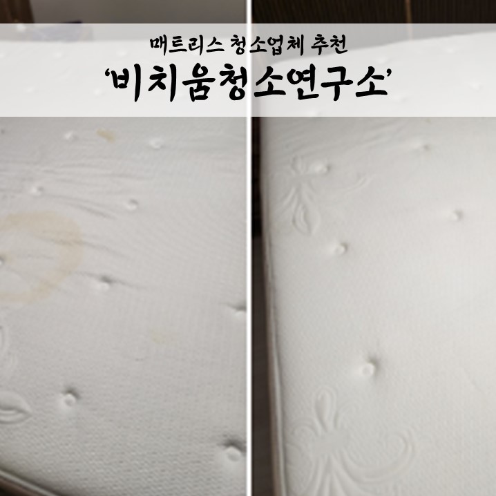  천안 매트리스 청소 추천, 오줌 얼룩제거 먼지 제거해 주는 비치움청소연구소