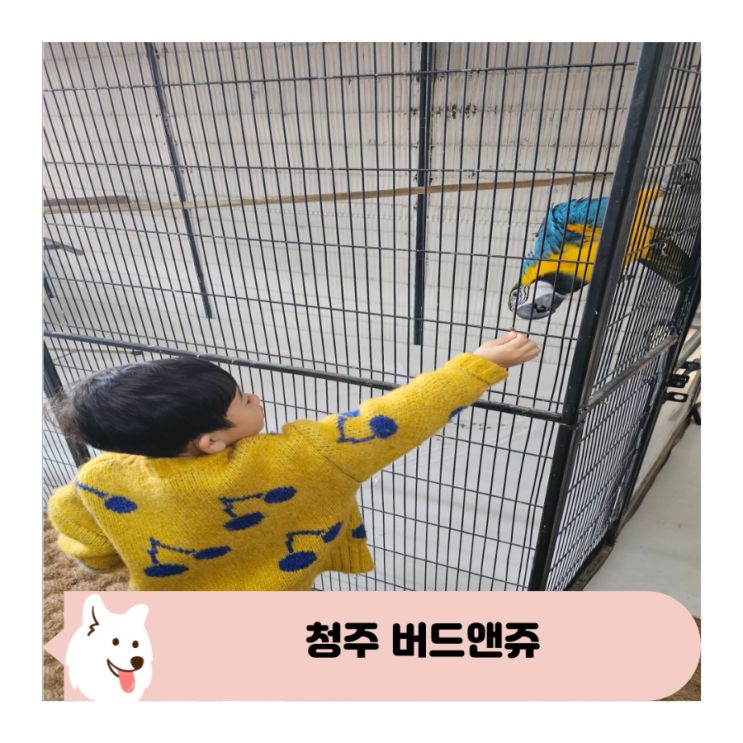  아이와 청주동물원 버드앤쥬 동물과 교감 체험