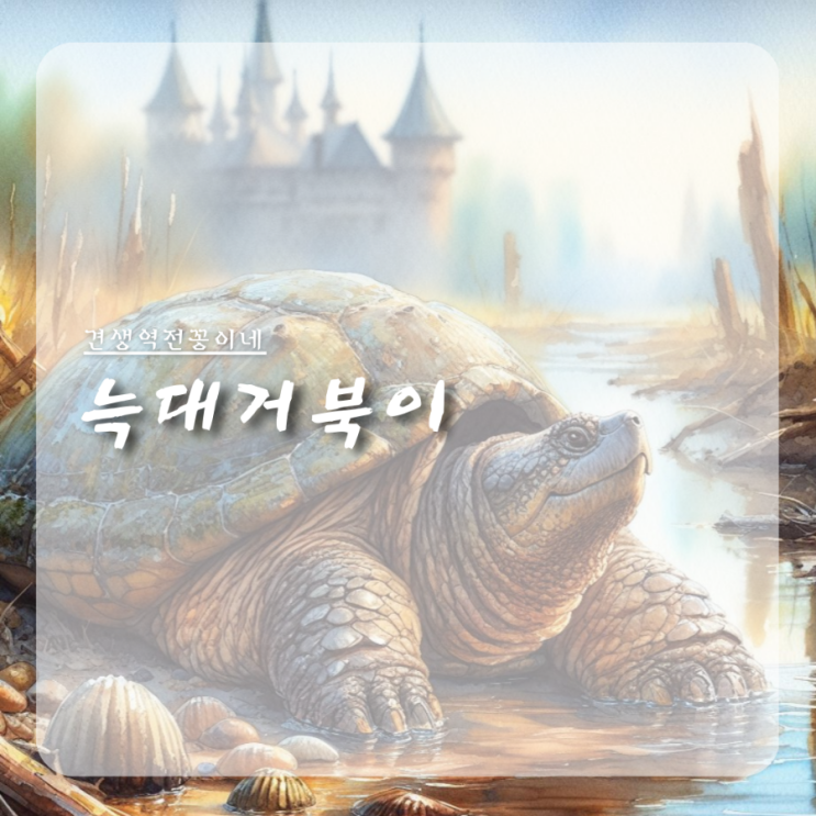  거북이종류 늑대거북이 겨울잠 자는 동물 특징 생태교란종 주의!