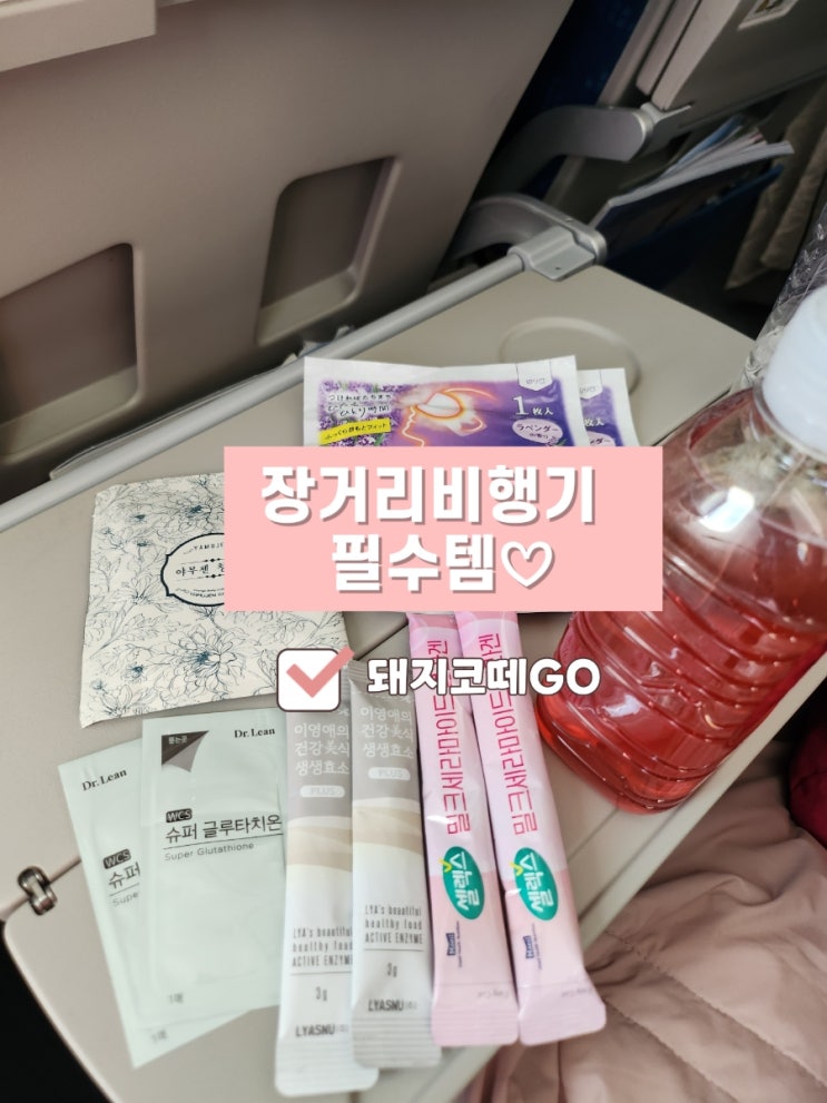  돼지코떼GO_장거리비행기필수템_장거리비행준비물추천