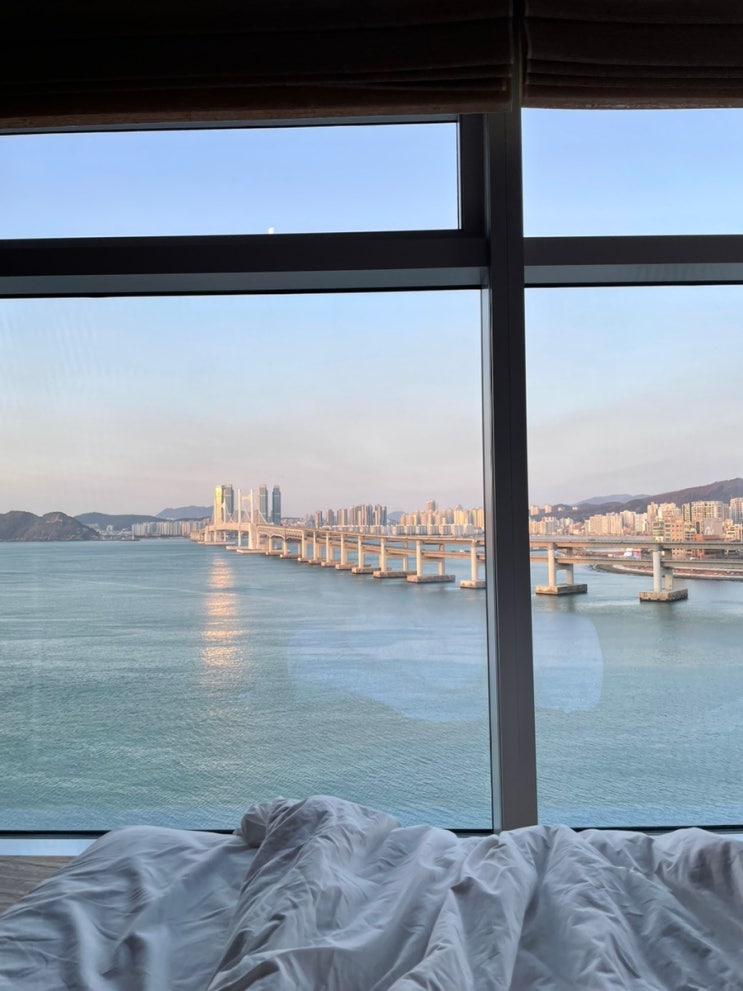  부산 호캉스 호텔 추천 [부산 파크하얏트호텔 ; 마리나스위트룸]