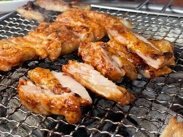  춘천 숯불닭갈비 맛집 [농가닭갈비] 반려견 동반 가능 식당