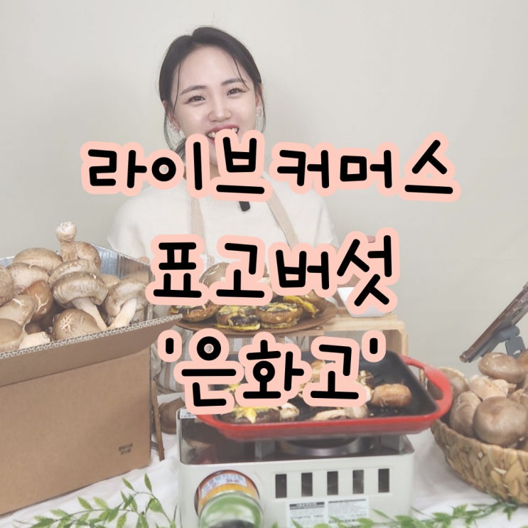  라이브커머스 쇼호스트 방송 기록 표고버섯 '은화고'