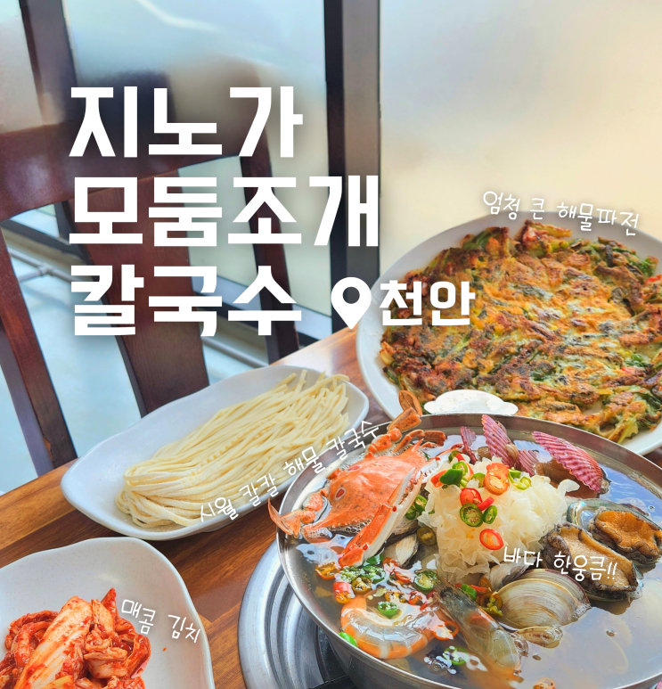 천안 백석동 해물 칼국수 파전 맛집 지노가모둠조개칼국수 점심 후기