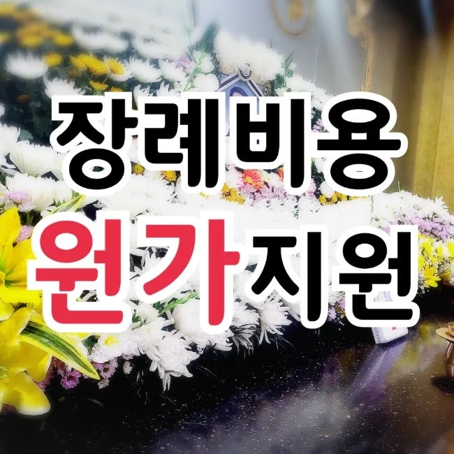  장례비용 팍팍 줄이는 방법 후불제상조 선택방법