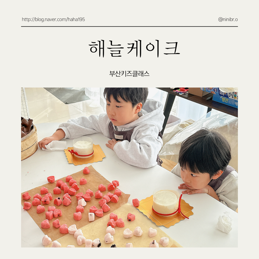 해늘케이크 사진 1