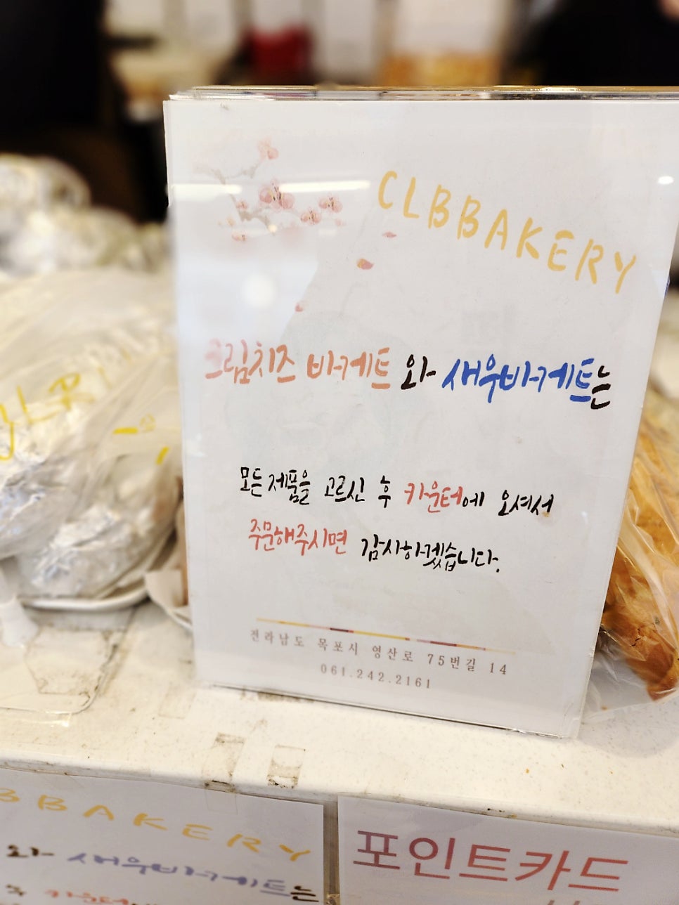 콩177.1 사진 3