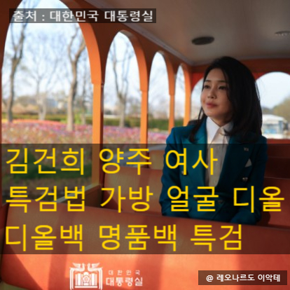 김건희 얼굴 디올백 명품백 특검 양주 여사 특검법 가방 디올