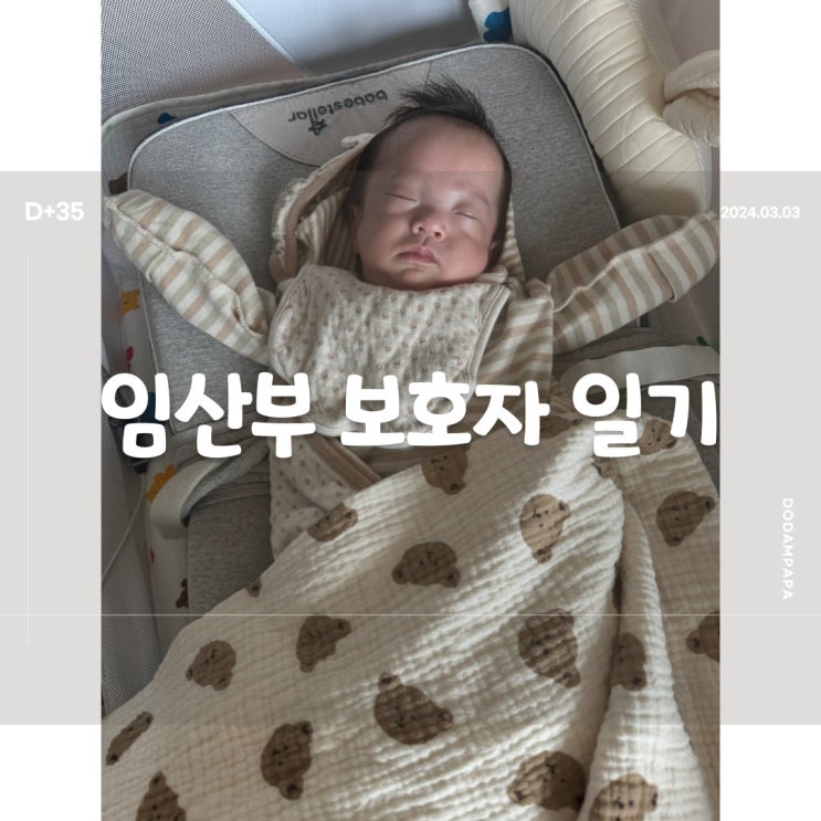 2024.03.03 임산부 보호자 일기 D+35일 2024.03.03 임산부 보호자 일기 D+35일