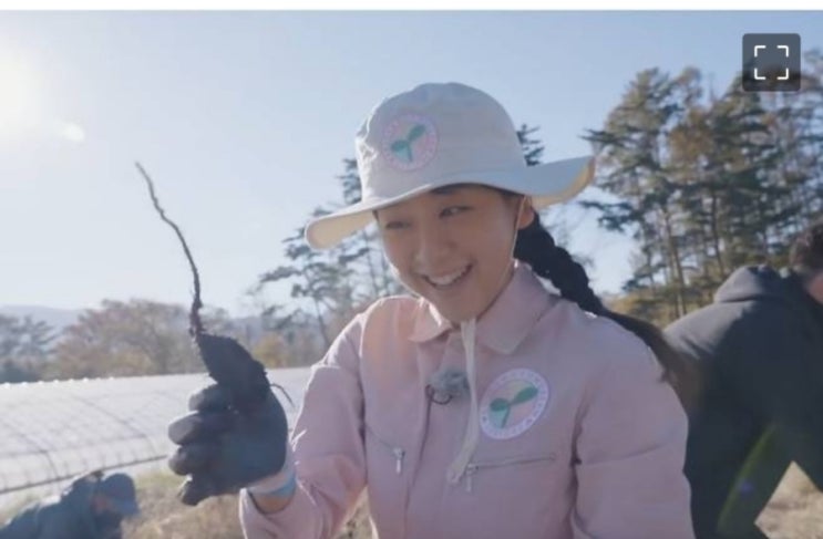 '<b>김연아</b> 라이벌' 아사다 <b>마오</b>, 은퇴하더니 귀농?…배추 들고... 