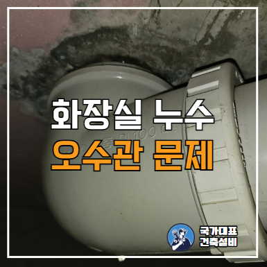 인천 아파트 화장실 천장 누수 탐지 및 해결(오수관, 하수관 누수), 가격 및 비용