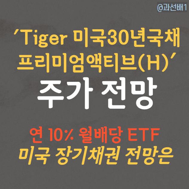  TIGER 미국30년국채프리미엄 액티브(H) ETF 배당금과 종목 분석
