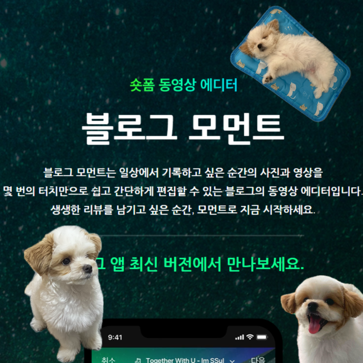  네이버 모먼트로 숏폼 만들기, 블로그 조회수 올리는 꿀팁 추천
