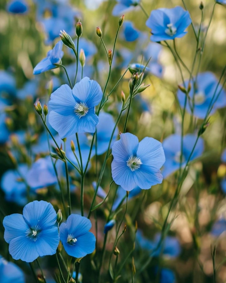  오늘의 생활정보 (2024-03-04, 월)