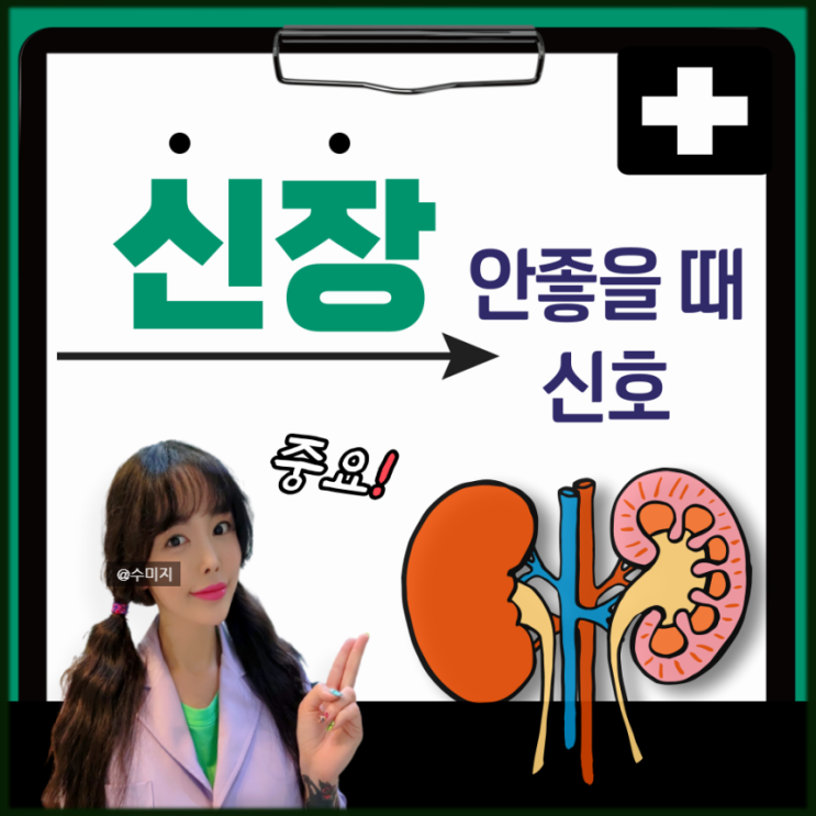  신장이 안좋을때 증상 : 신장 콩팥이 안좋으면 신장 이상 증상 (신장기능저하)