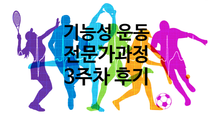  기능성 운동 전문가(FTS) 3주차 과정 후기