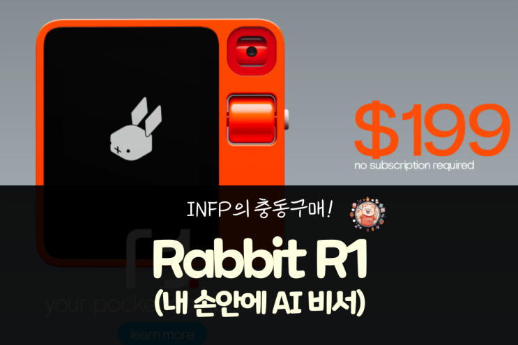  INFP(인프피) 충동구매 - Rabbit R1(내 손안에 AI 비서)