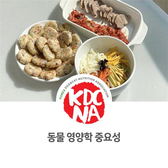  NO.1096 반려동물 영양 교육 필요성
