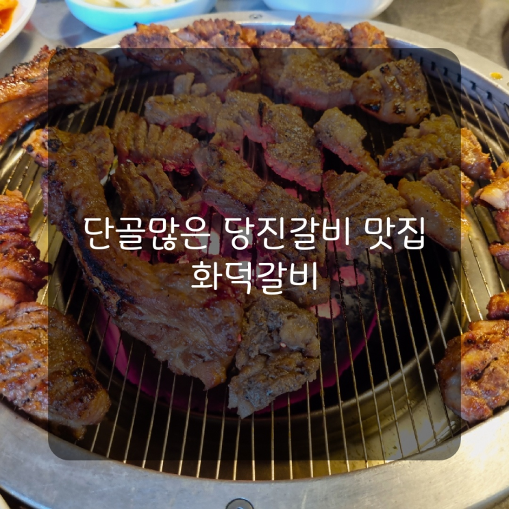  [당진맛집] 소문난 당진돼지갈비 맛집 '화덕갈비'