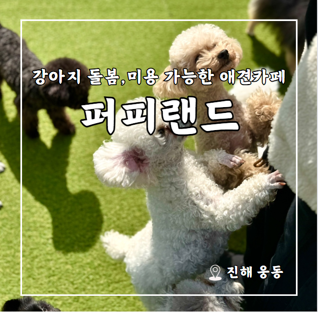 사진 2
