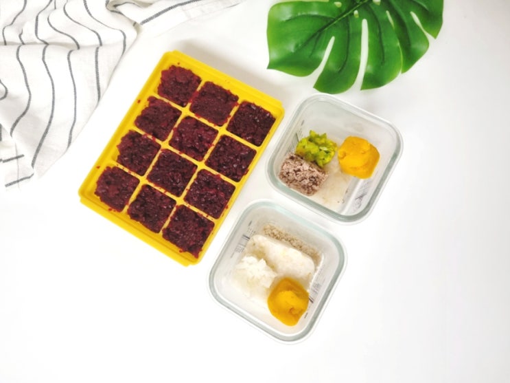  이유식 비트 손질 보관법 삶는법 찌는법 소고기 닭고기 큐브 효능 부작용