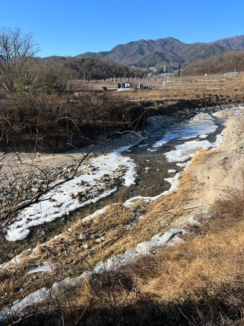 영주 희방사 템플스테이 1박2일, 부석사 : 네이버 블로그