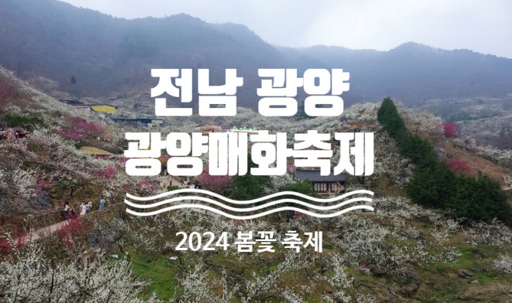  <전남 광양> 2024년 광양매화축제 정보 + 행사일정, 주차장, 셔틀버스정보