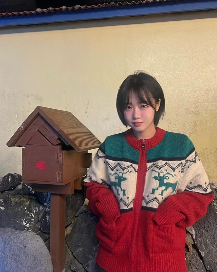  최유정의 귀여운 여친룩으로 인기 만점인 북유럽 감성의 노르딕 집업 니트 가디건 코디 추천