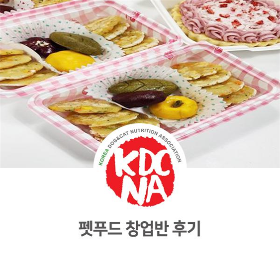  NO.1094 펫푸드 창업반 개인 수업 후기