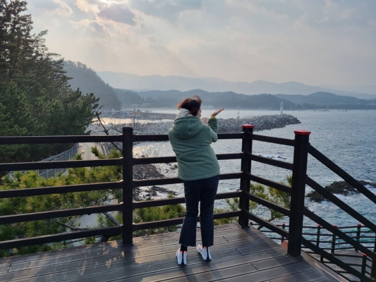  삼척 여행 가볼만한 곳 : 촛대바위, 레일바이크 궁촌역, 초곡항 맛집 직접다녀온 코스