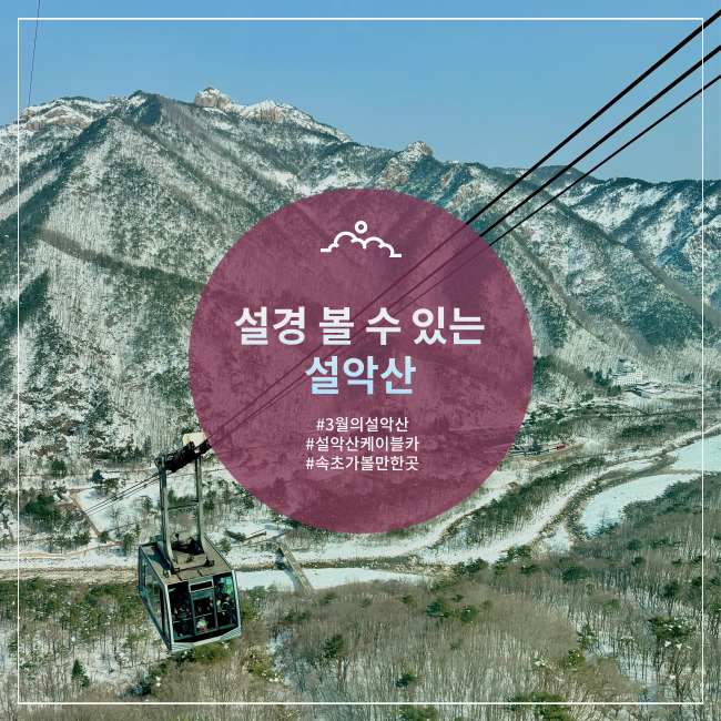  [속초] 3월에 이런 설경이라니! 설악산 케이블카 시간표, 이용요금, 주차, 맛집, 포토스팟
