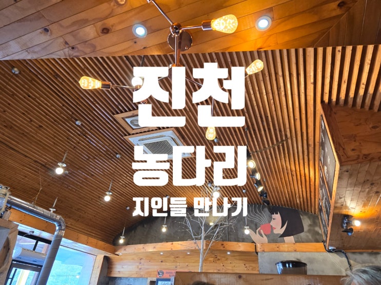  삼일절 일기, 진천농다리 가서 지인만나기