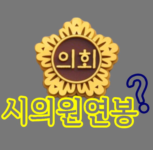  시의원 구의원 도의원 연봉 월급 임기 수당 겸직 5가지