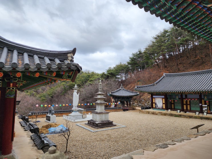 경북 예천 사찰여행으로 가볼만한 곳 장안사 with 여행자 클럽 경북 예천 사찰여행으로 가볼만한 곳 장안사 with 여행자 클럽