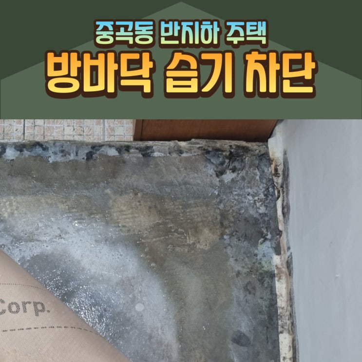 반지하 주택의 방바닥 곰팡이 장판 습기 제거 공사 (광진구 중곡동)