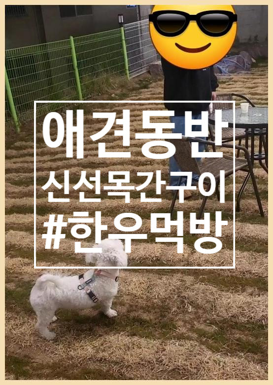  [임신 중기 먹방] 부산애견동반식당 신선목간구이