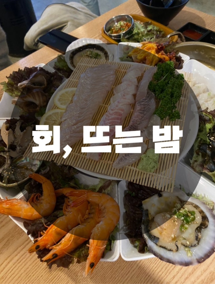  : 경기 수원시 세류동 : 서비스는 아쉬웠지만 맛은 좋았던 수원 회 맛집 회, 뜨는 밤