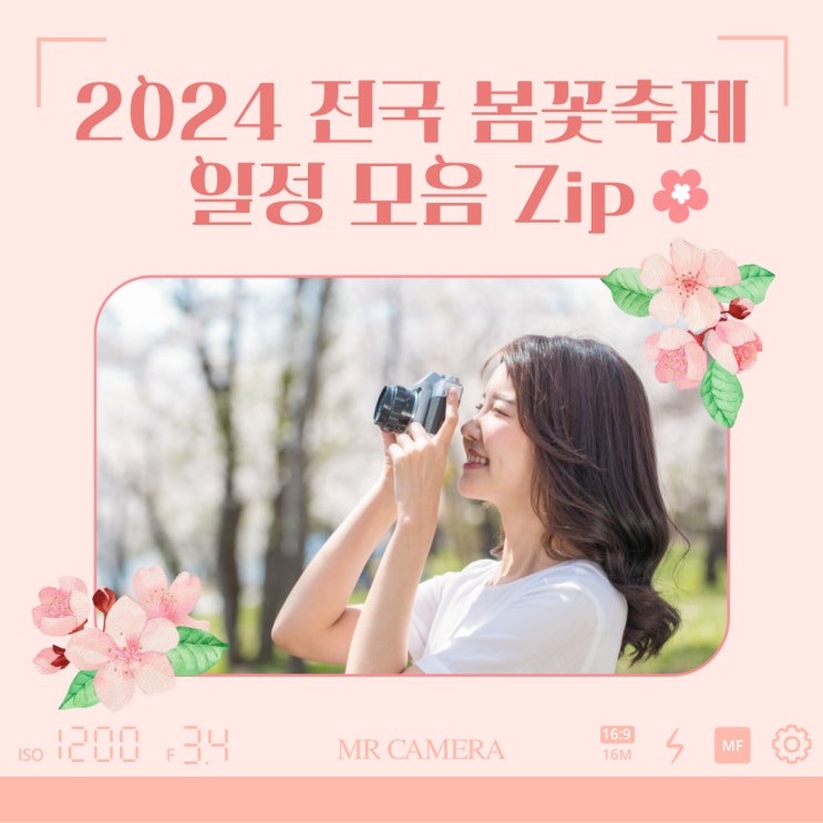  [전국봄꽃축제] 2024년 전국 봄꽃 축제 일정 모음 Zip