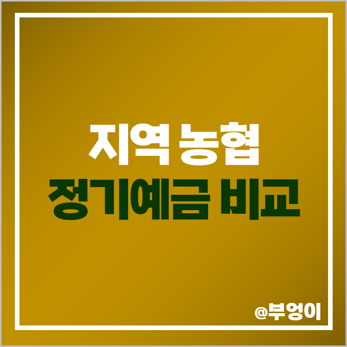 지역 농협 예금 특판 추천 이자율 높은 정기예금 금리 비교 지역 농협 예금 특판 추천 이자율 높은 정기예금 금리 비교