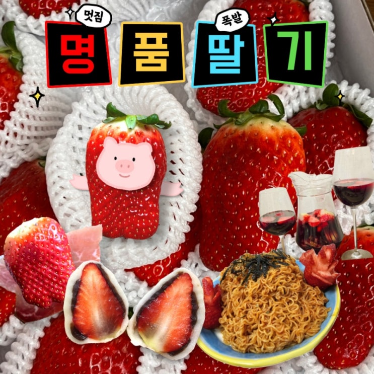  내 인생 역대급 딸기, 홍희딸기 내돈내산 솔직후기 (feat. 딸기 코스 요리)